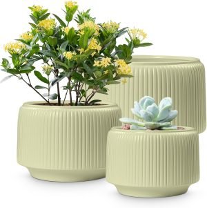 Ceramic Plant Pots – Set of 3