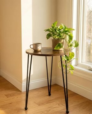 Metal Plant Stand Indoor