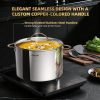 12-Quart Stainless Steel Stock Pot