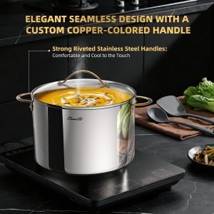 12-Quart Stainless Steel Stock Pot