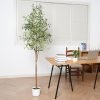 6FT Artificial Olive Tree