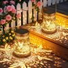 2-Pack Solar Lanterns Outdoor