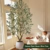 8ft Artificial Olive Tree