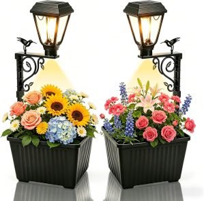 2-Pack Outdoor Flower Pots
