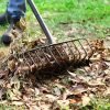 Heavy Duty 16-Inch Metal Garden Rake