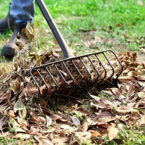 Heavy Duty 16-Inch Metal Garden Rake