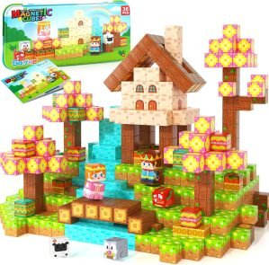 Mini Magnetic Blocks