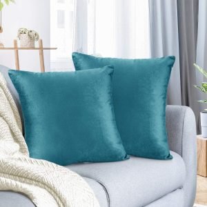 Throw Pillow Covers