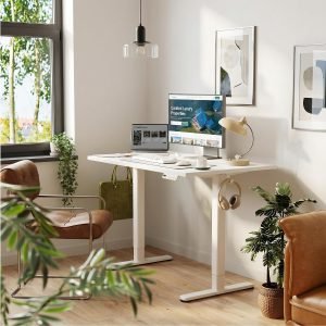48 x 24″ White Electric Standing Desk