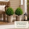 2Pack Artificial Cedar Topiary Ball Trees