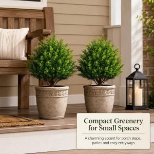 2Pack Artificial Cedar Topiary Ball Trees