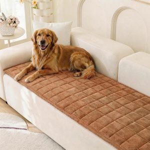 Couch Cover for Dogs