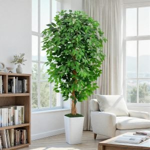 Ficus Artificial Tree with 3 Natural Curved Trunks