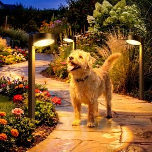 12 Pack Solar Pathway Lights Outdoor