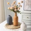 Ceramic Vase Set 