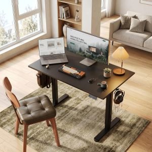 48 Inch Electric Standing Desk
