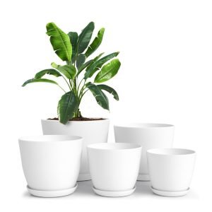 5 Pack Multi-Size Planters Set