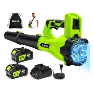 Leaf Blower Cordless
