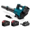 Electric Leaf Blower Cordless