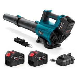 Electric Leaf Blower Cordless
