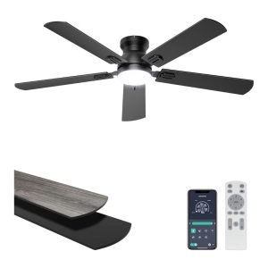 Ceiling Fan with Lights