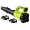 Leaf Blower Cordless