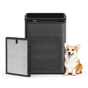 Air Purifiers