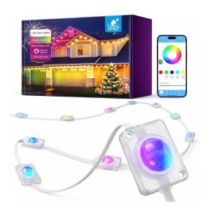 Permanent Outdoor Lights