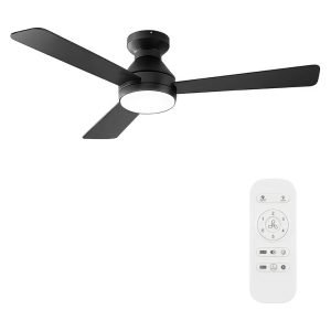 Ceiling Fan with Light