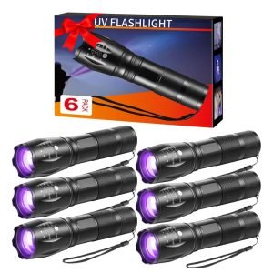 6Pack Small UV Flashlight