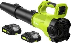 Leaf Blower Cordless