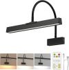 Picture Frame Light with Remote