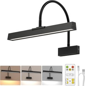Picture Frame Light with Remote