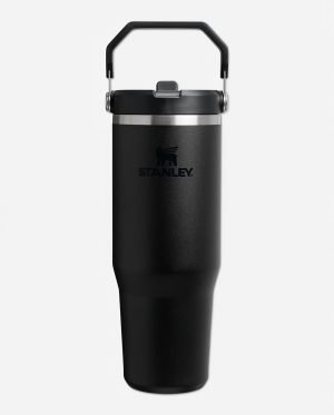 STANLEY IceFlow 2.0 Flip Straw Tumbler