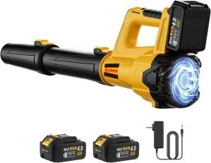 Leaf Blower Cordless