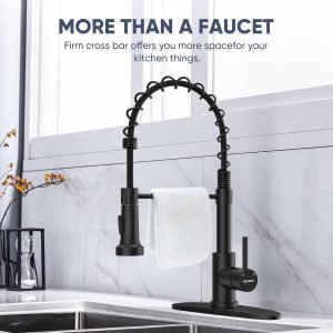 Kitchen Faucet