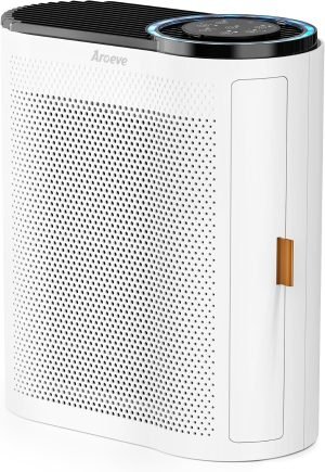 Air Purifiers for Home