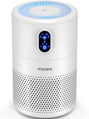 Air Purifiers for Home