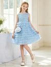 Flower Girls Tweed Tulle Dress