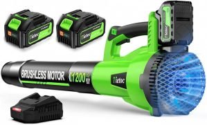 Leaf Blower Cordless