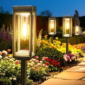8 Pack Tall Solar Lights