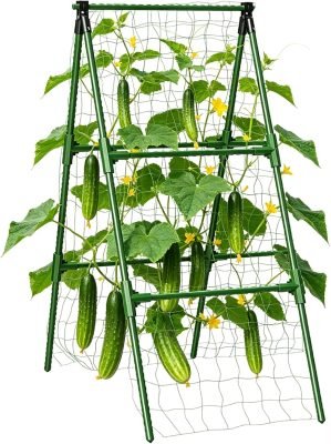 Garden Cucumber Trellis for Climbing Plants