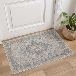 Area Rug 2×3 Doormat