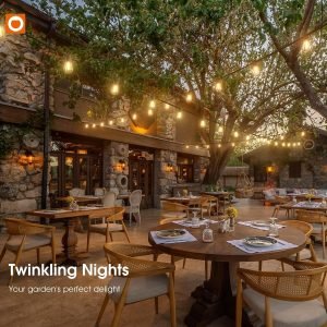 100FT Outdoor String Lights