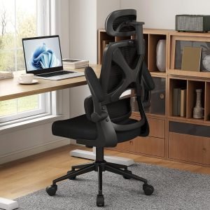 Ergonomic Office Chair
