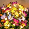 Solar Butterfly Lights Outdoor
