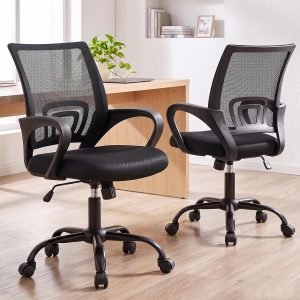Ergonomic Office Chair
