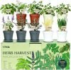 10 Indoor Herb Garden Kit