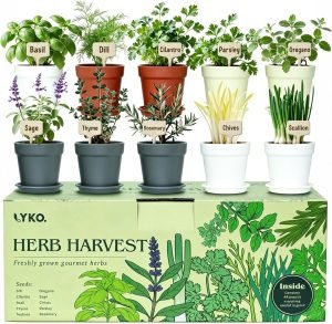 10 Indoor Herb Garden Kit