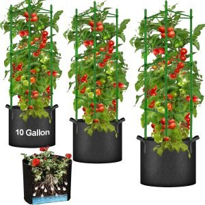 Tomato Cages with 10 Gallon Grow Bags